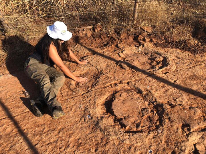 Cientistas da UFRN encontram pegadas de dinossauro na PB