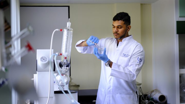 UFRN desenvolve biocombustível verde a partir de óleo de cártamo