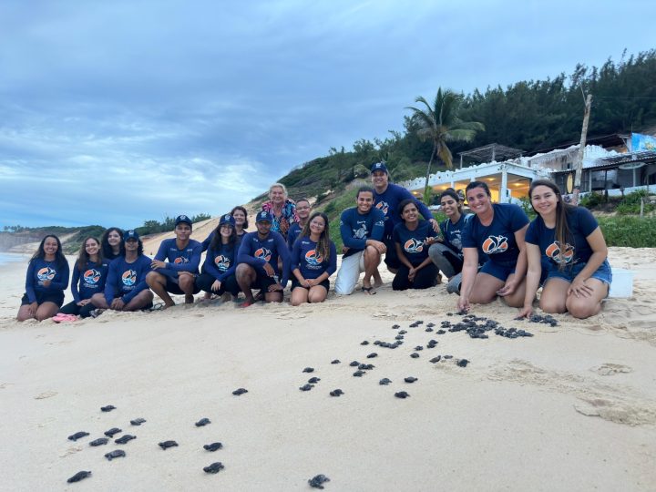 Projeto recebe voluntários para trabalhar com tartarugas marinhas no RN