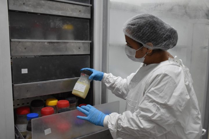 Doação de leite materno salva vida de bebês no RN; saiba como doar