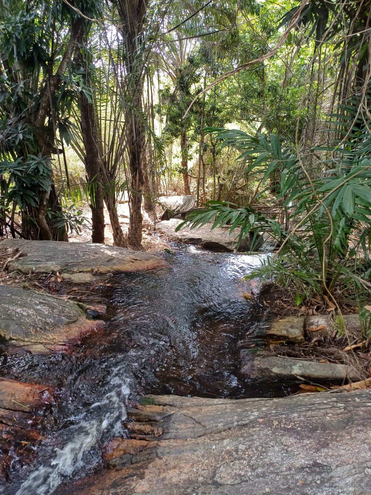 Piquiri-Una: área de proteção ambiental preserva águas potiguares